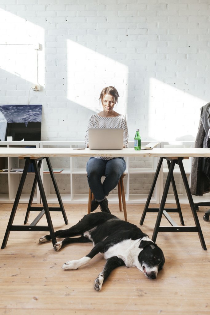 A woman working on a laptop with a dog sleeping by her feet