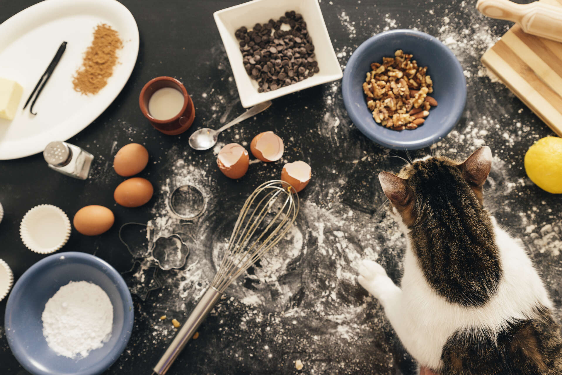 A cat sitting over a messy kitchen table filled with baking ingredients