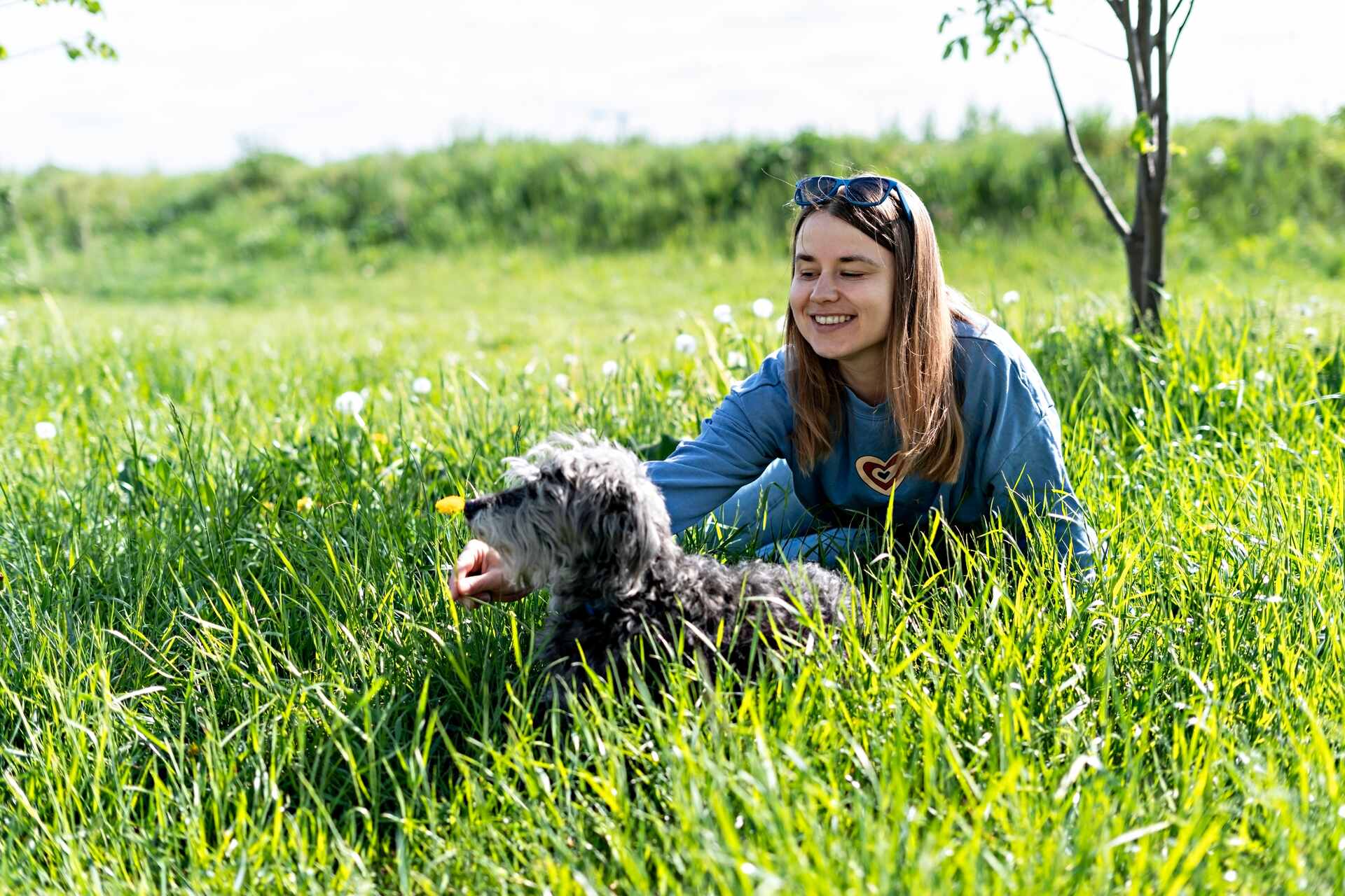 A woman sitting with an Irish Wolfhound in a grassy field