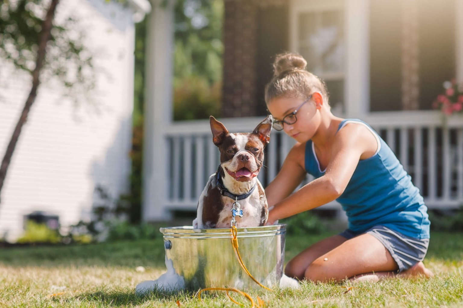 Garten hundesicher machen mit diesen Tipps Tractive