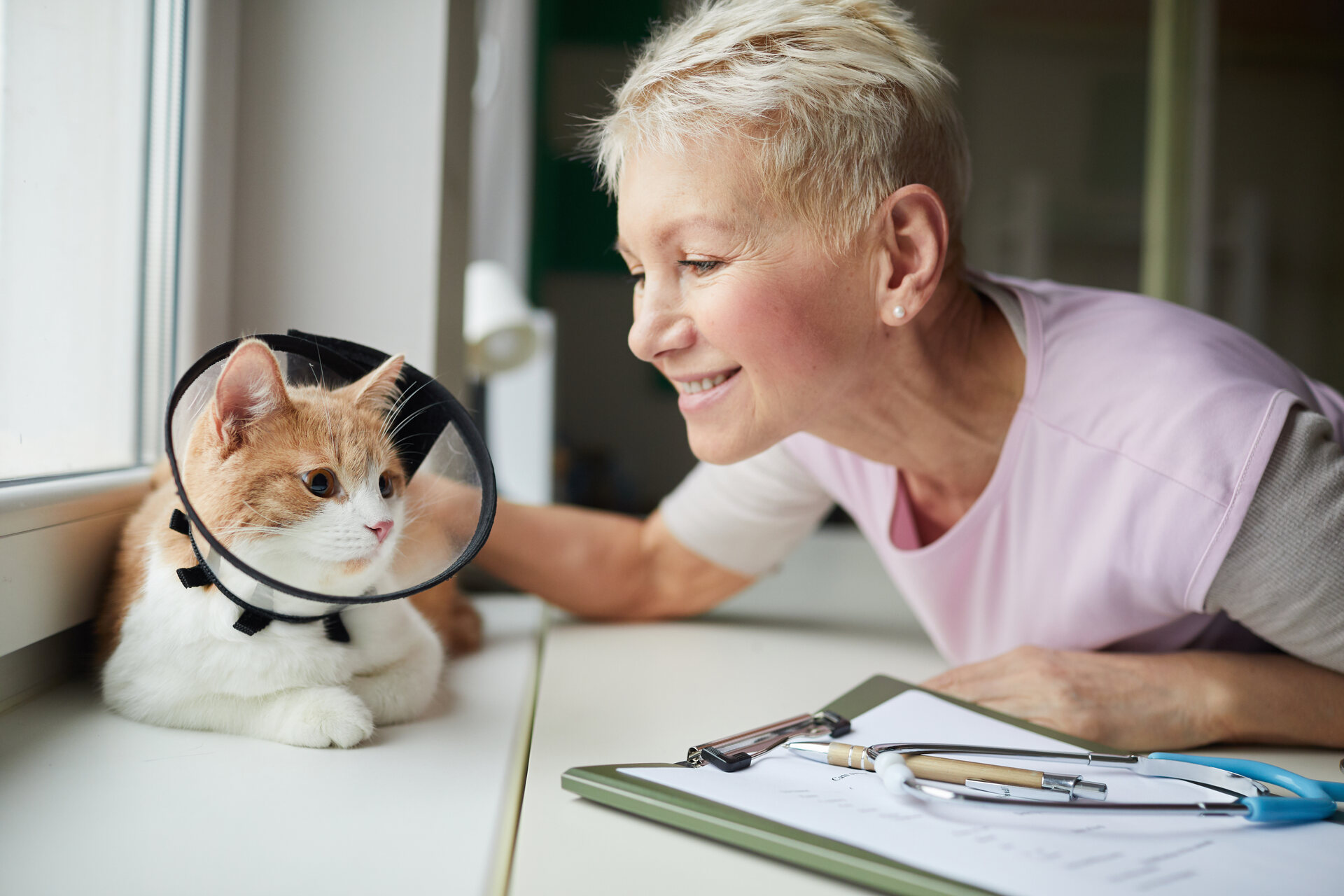 A woman caring for a cat wearing a neck collar