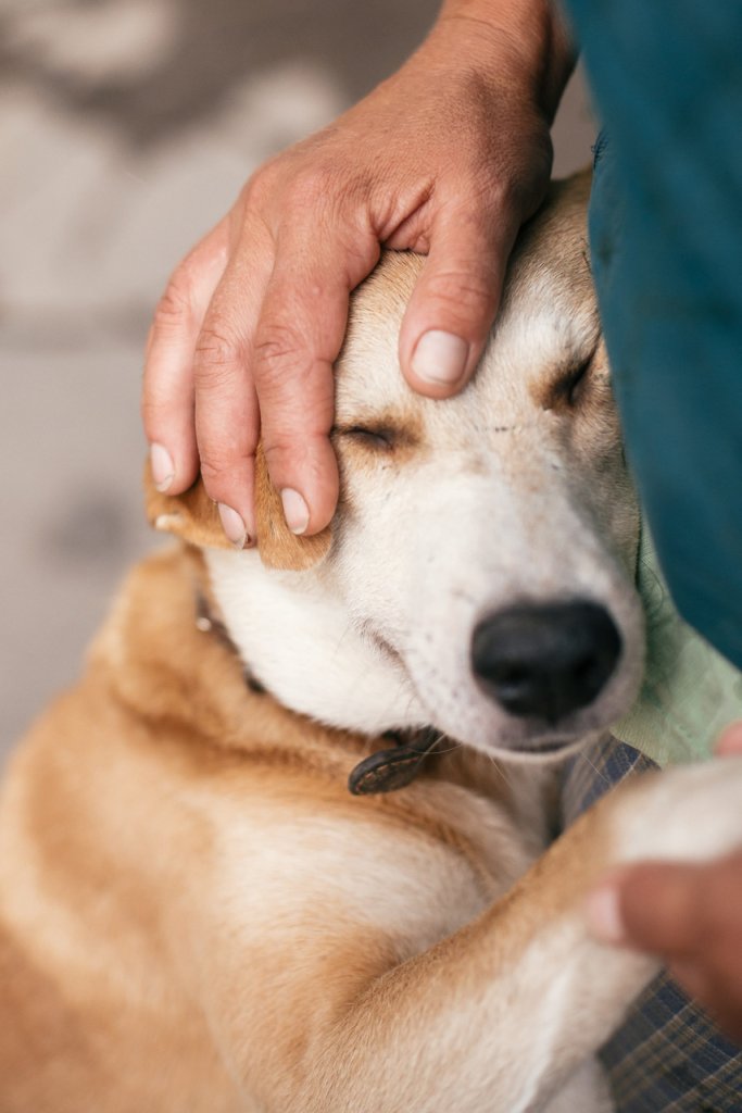 A man cuddling an older dog