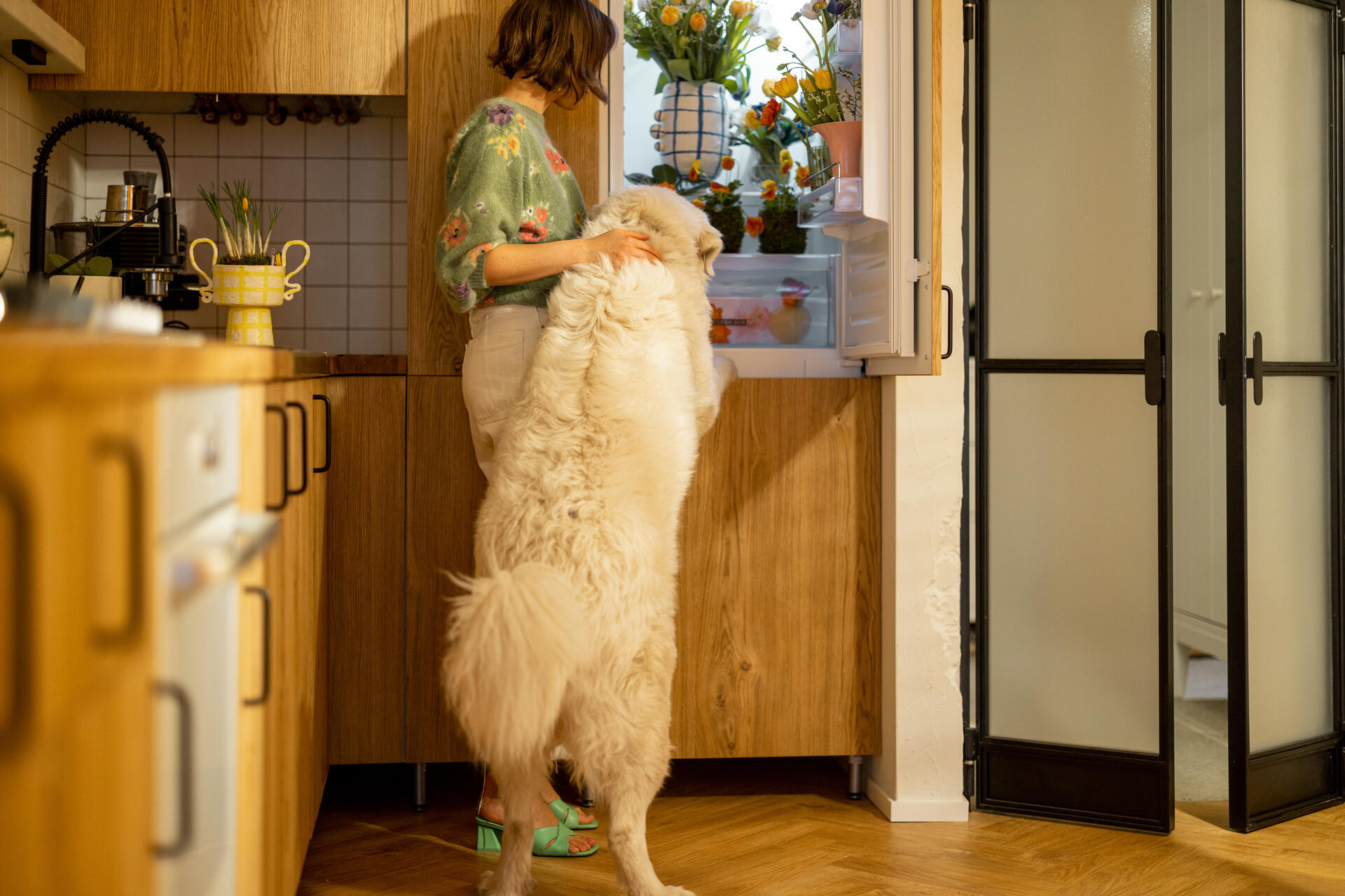 A woman and her dog inspecting a kitchen fridge
