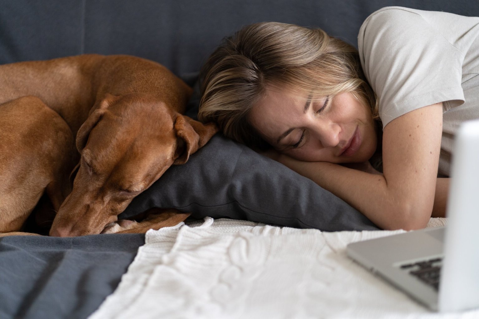 Votre chien respire vite ? Quand fautil s’inquiéter (ou pas) Tractive — free download