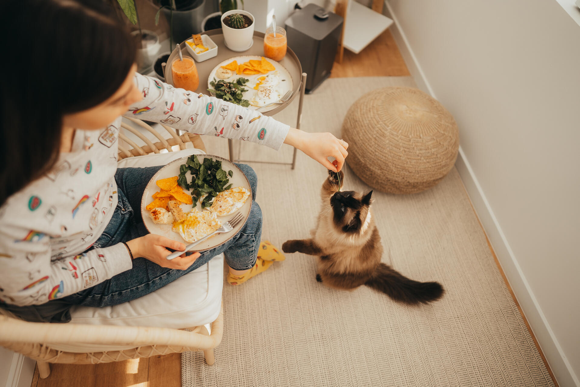 A woman feeding her cat a snack