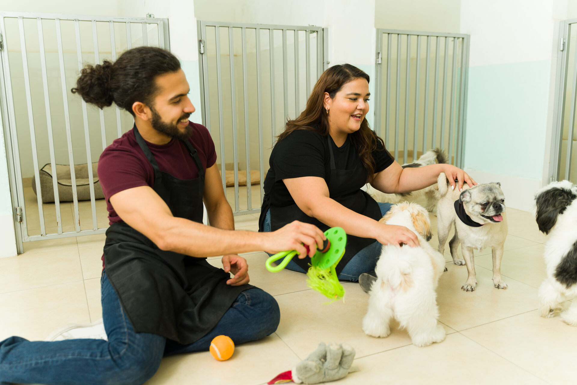 A pair of dog day care workers playing with puppies