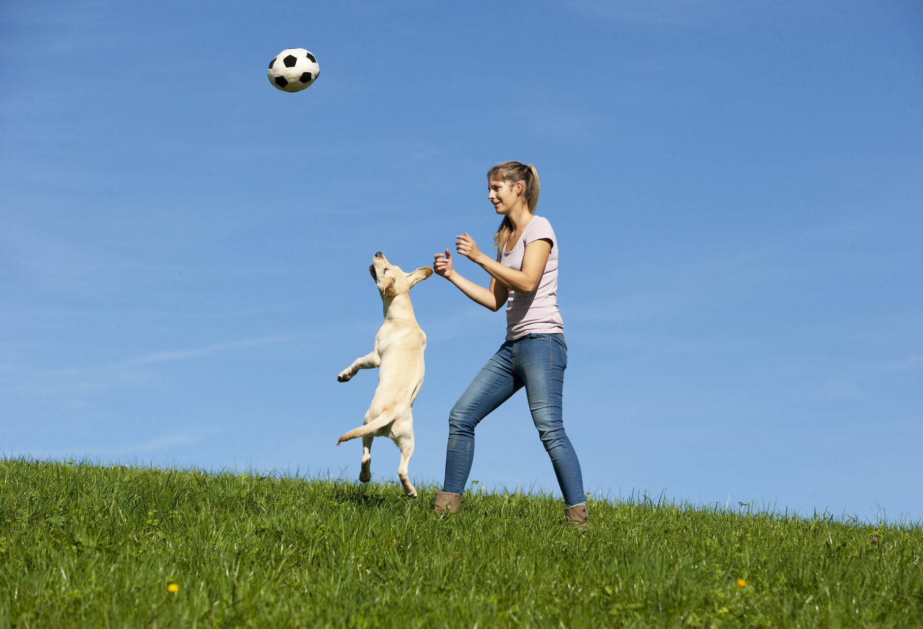 A woman playing football with her dog in a field