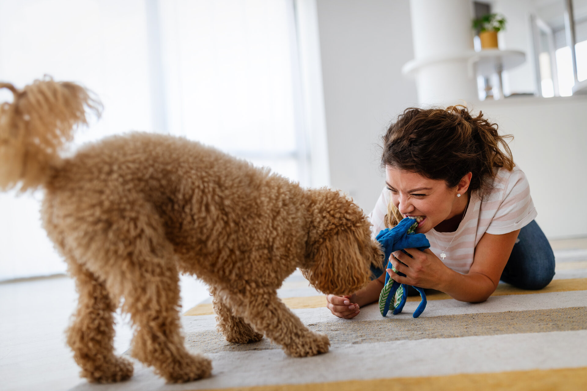 A woman playing tug of war with her dog indoors