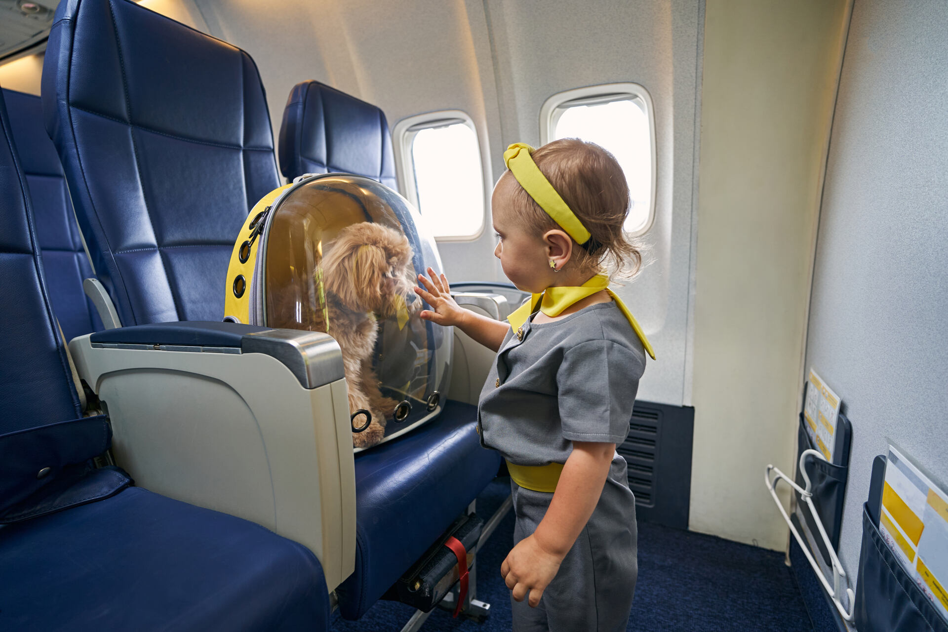 A child touching a transparent dog carrier on board an airplane