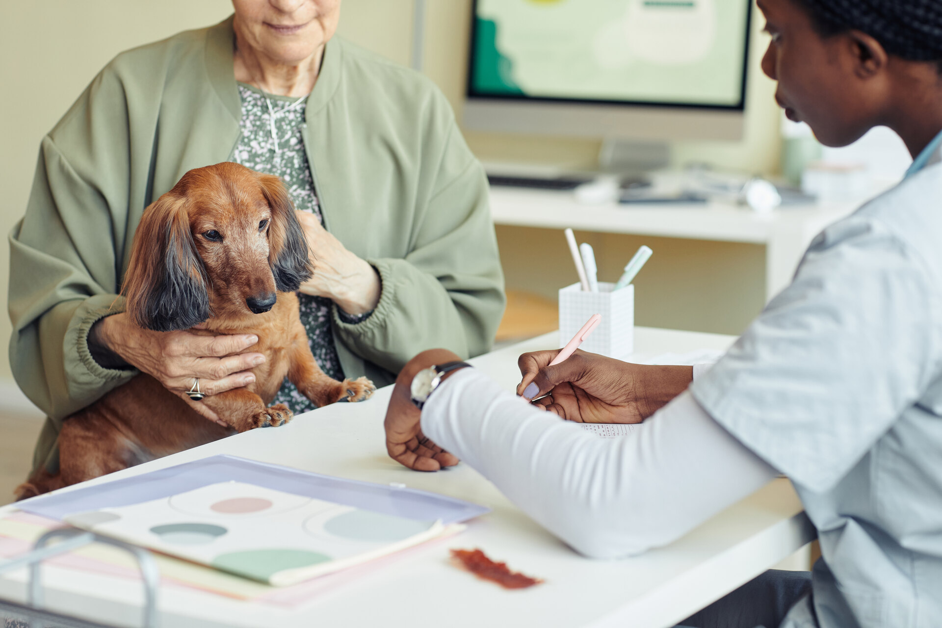 A woman comparing pet insurance policies with her provider
