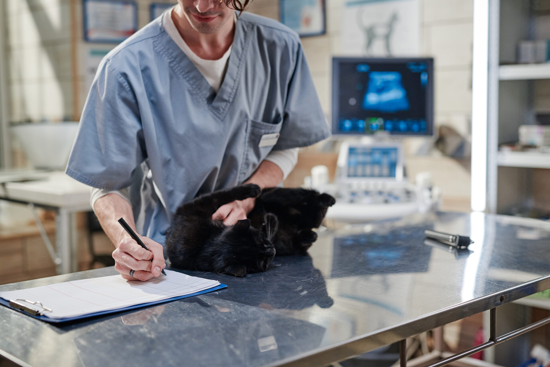 A vet noting down a cat's symptoms at a clinic