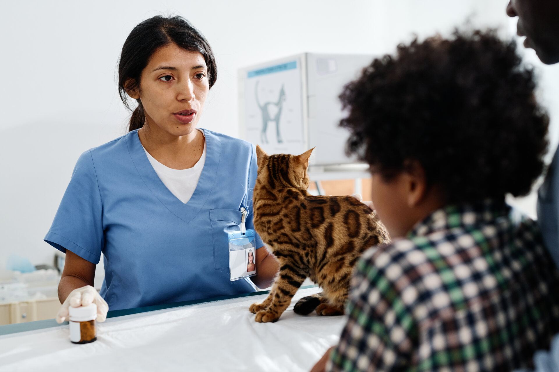 A vet explaining how to care for a cat