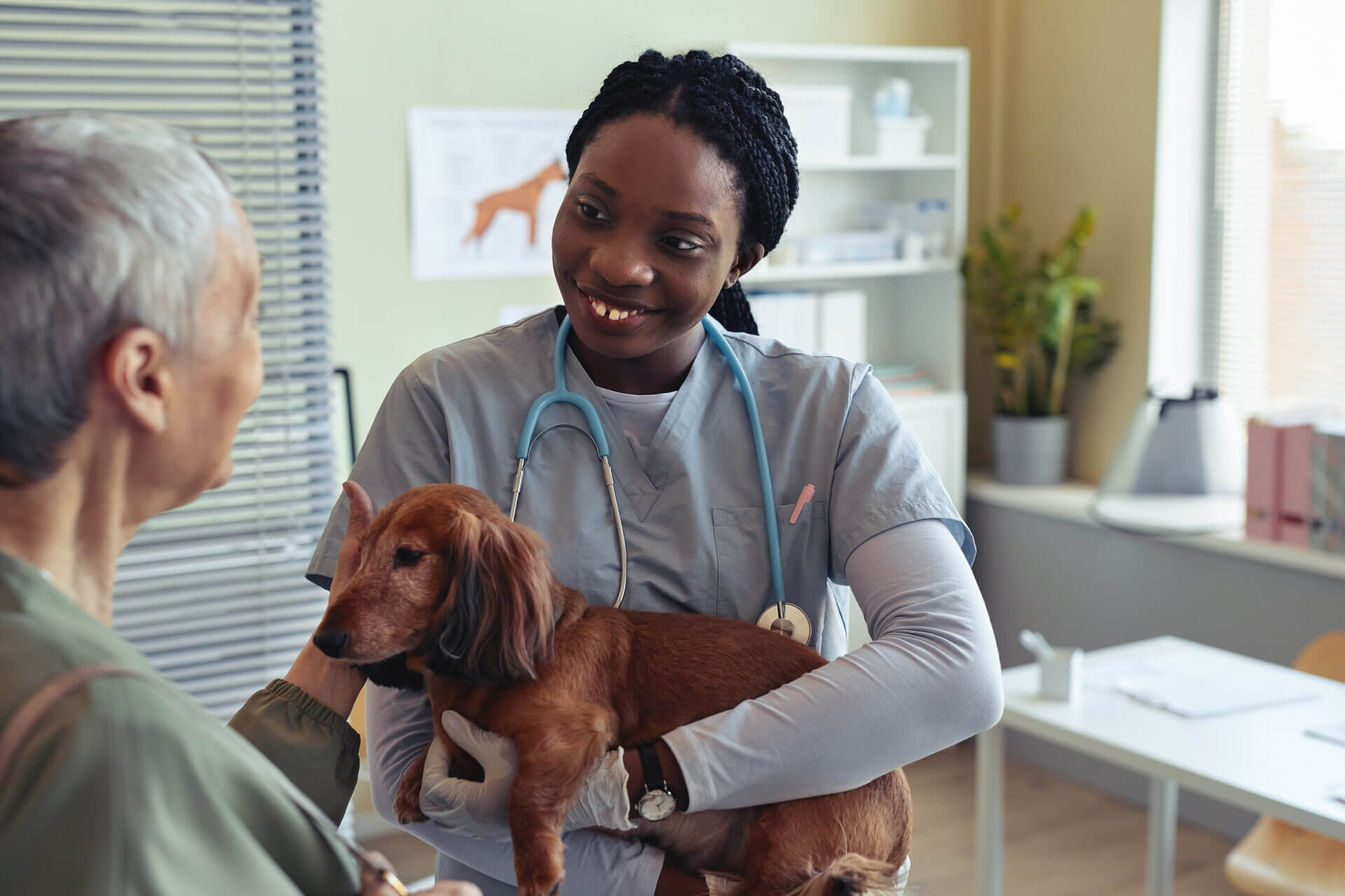 A woman consulting with her vet