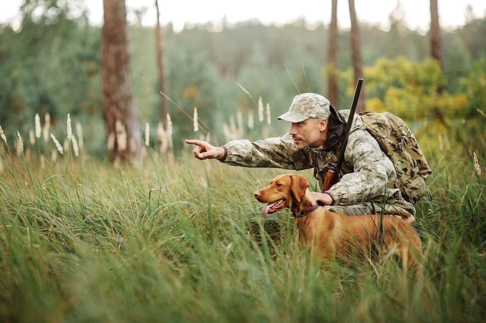 Jäger ist mit seinem Jagdhund in der Natur unterwegs