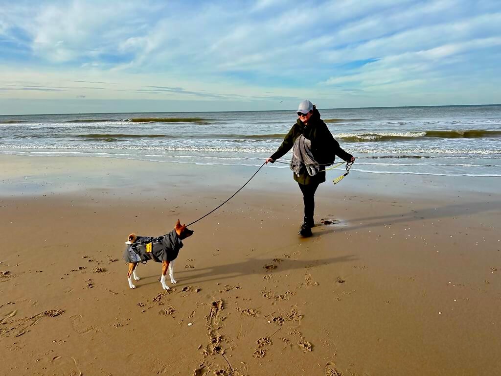 Lisa & Charlie the Basenji: Adventuring With Tractive - Tractive