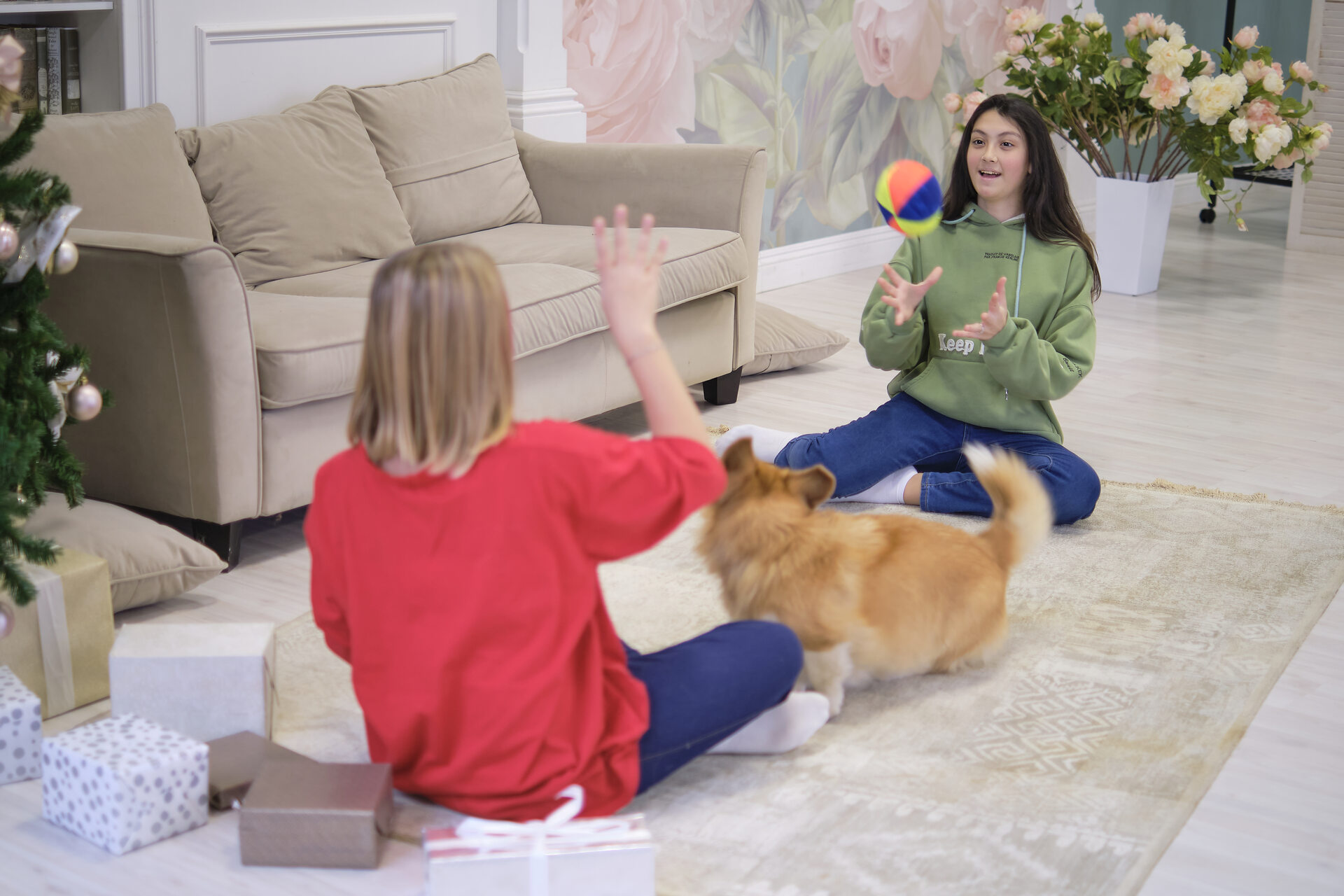 Two girls and a dog playing a game of Keep Away with a ball
