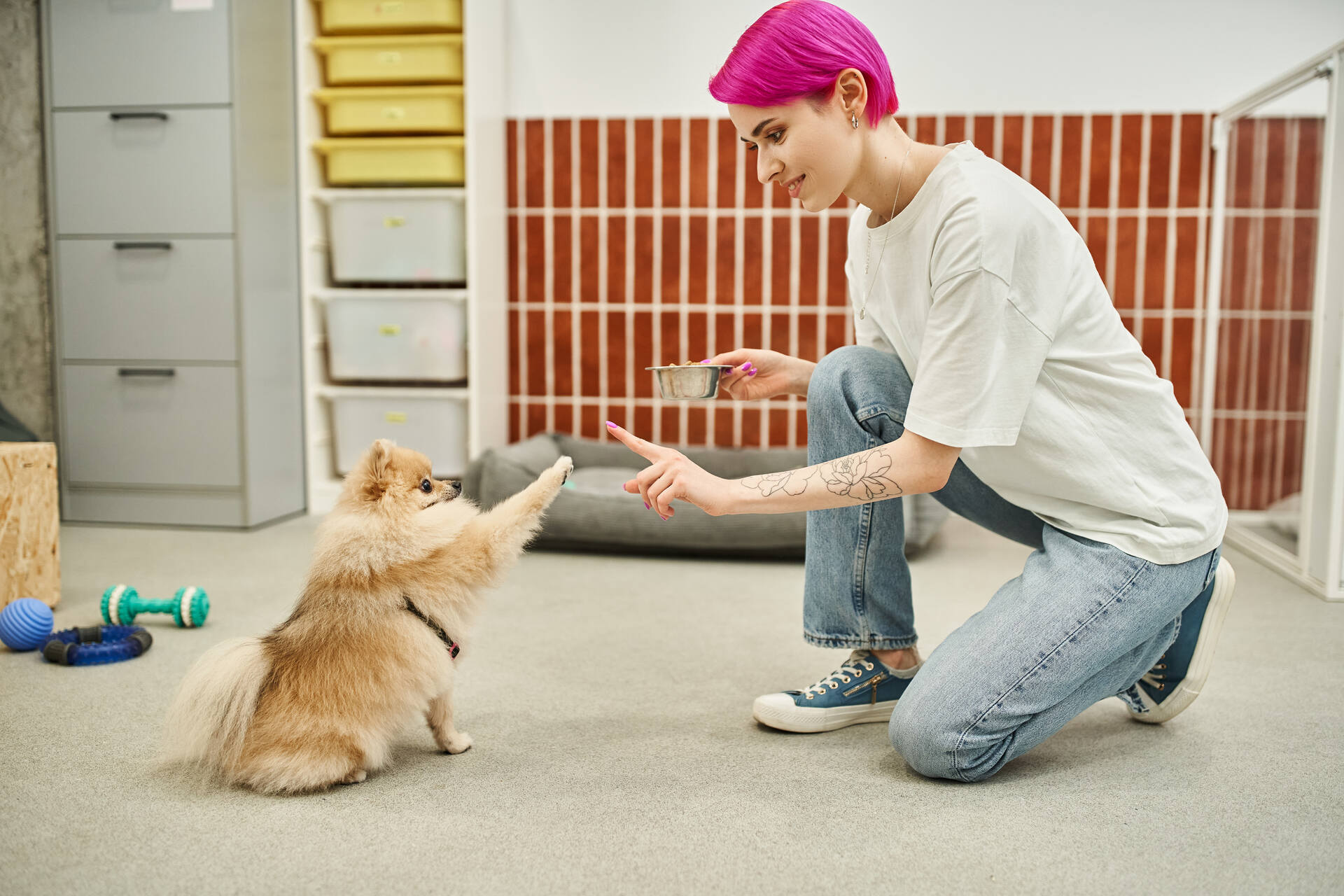 Frau trainiert mit kleinem Hund in einem Raum
