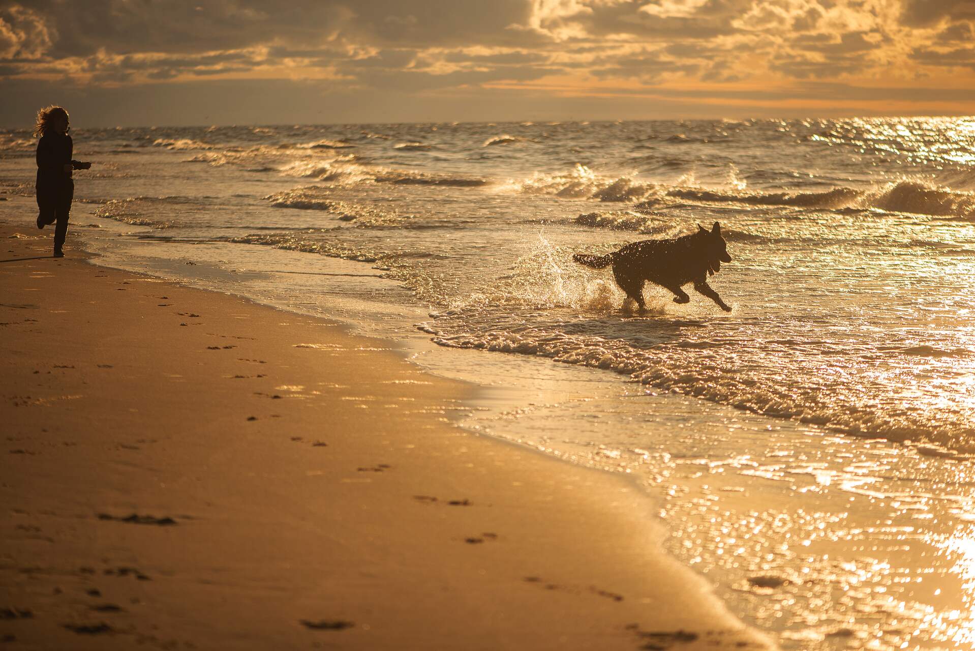 A dog running away from a woman on a beach