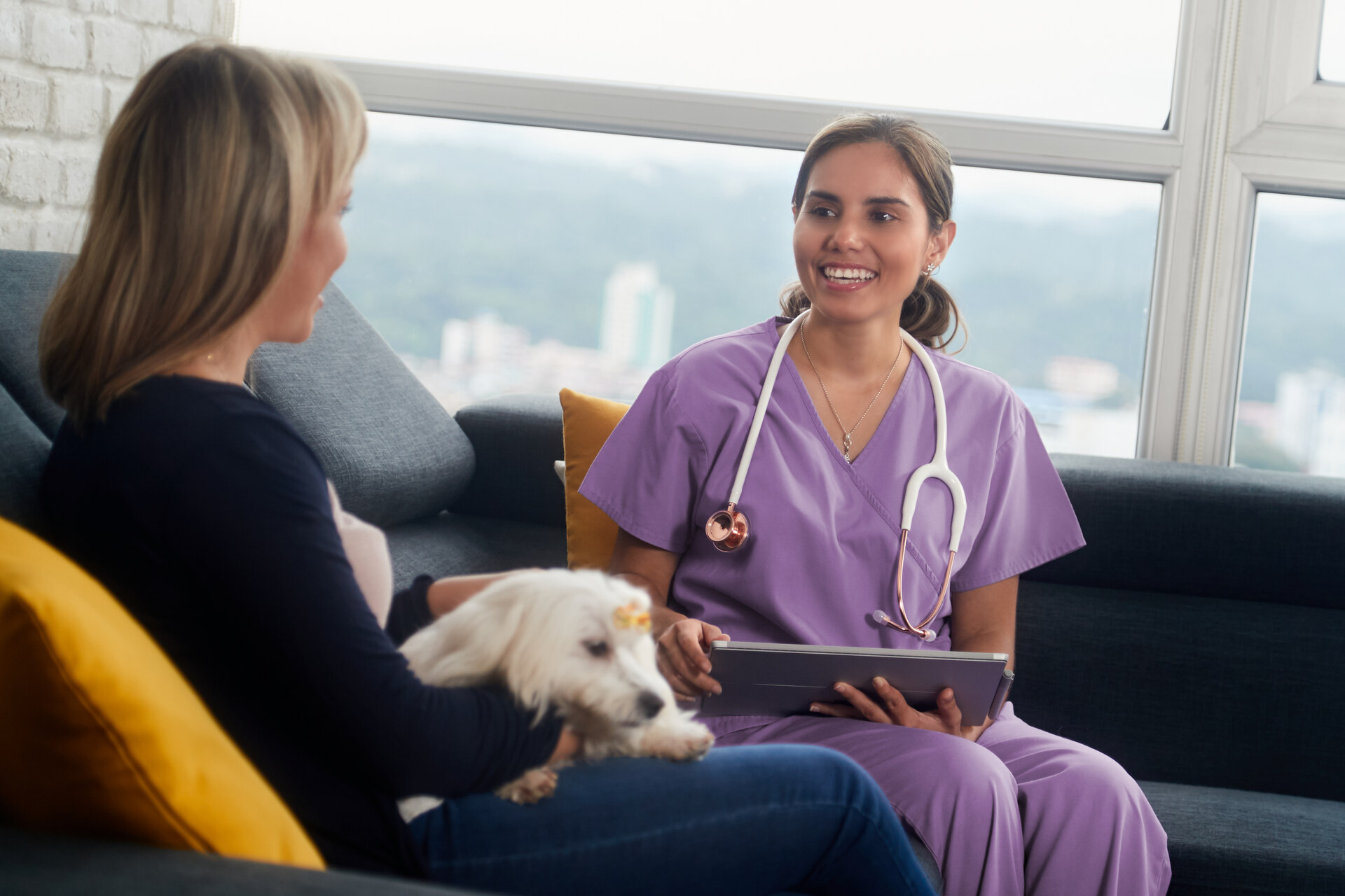 A woman discussing travel pet insurance with her vet