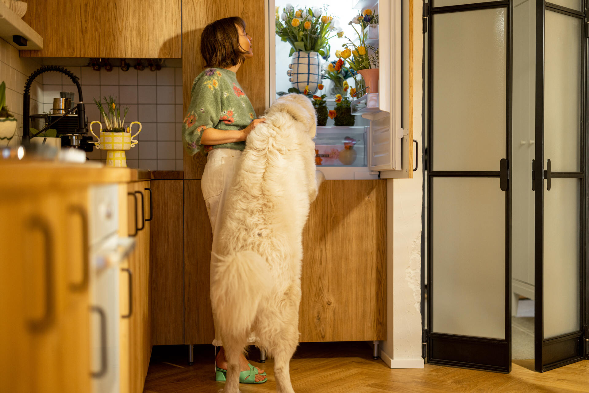 A woman and dog inspecting a fridge full of flower pots