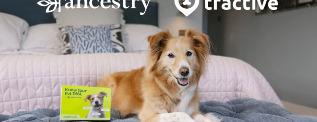 dog on bed next to dna testing kit by Ancestry