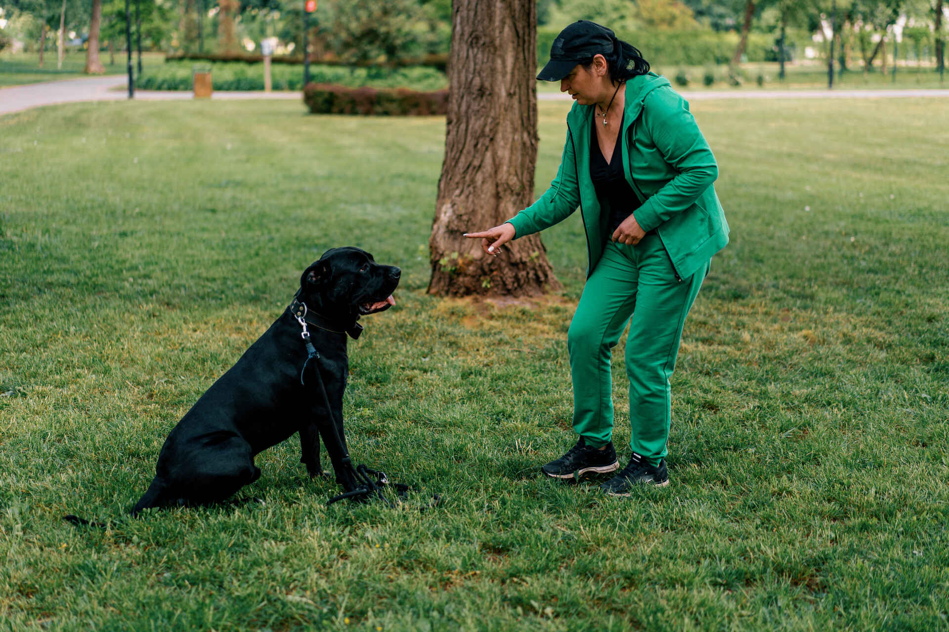 A woman training a dog outdoors