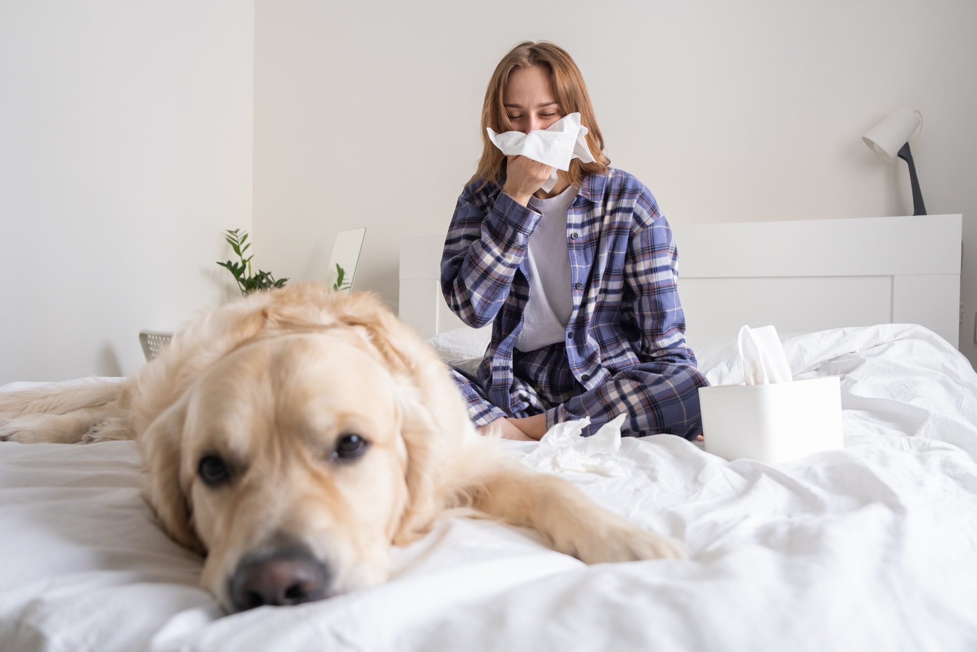 A sick woman in bed with a dog