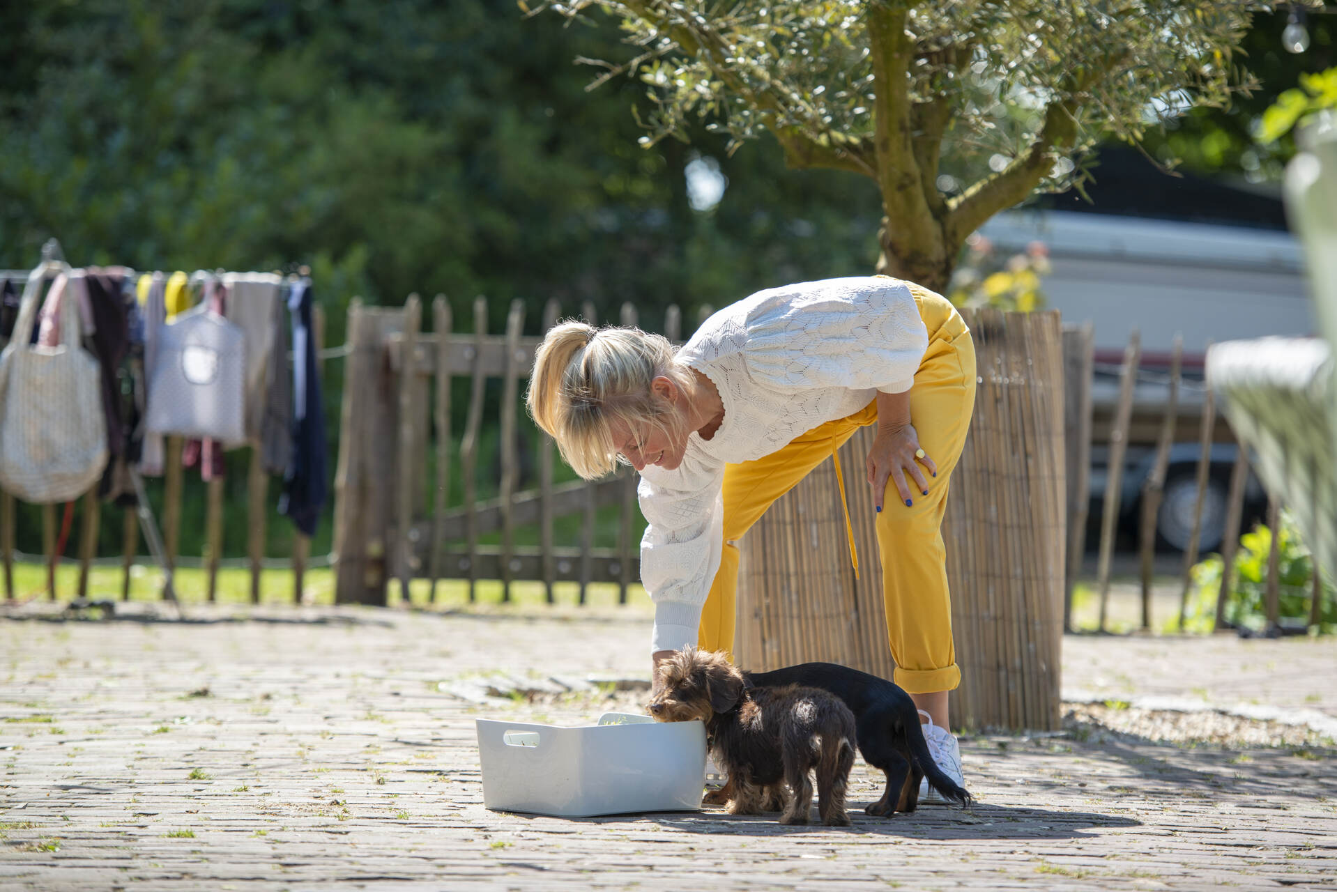 A woman training her puppy with a litter box outdoors
