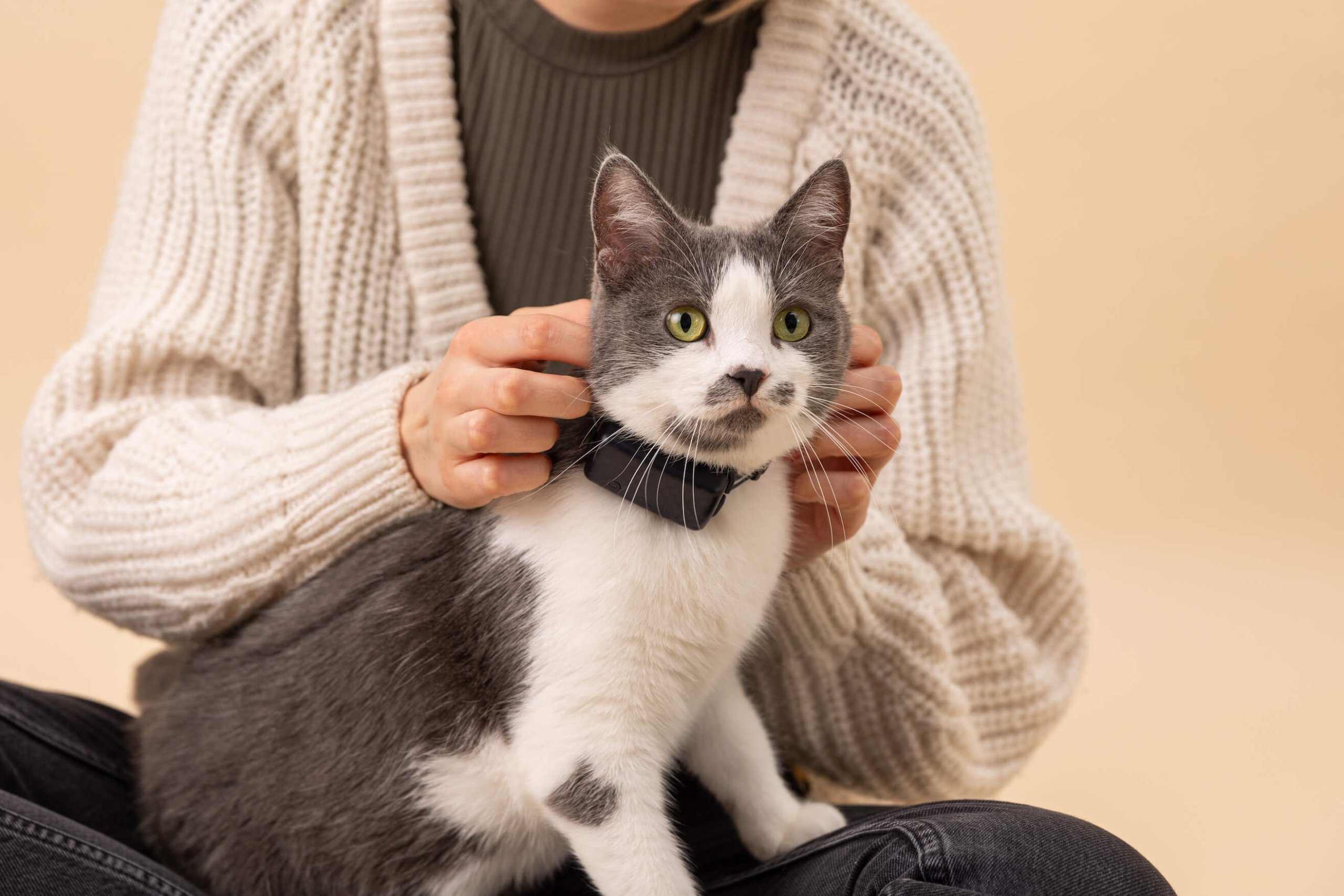 Grau-weiße Katze trägt Halsband und Tractive Cat Mini Tracker