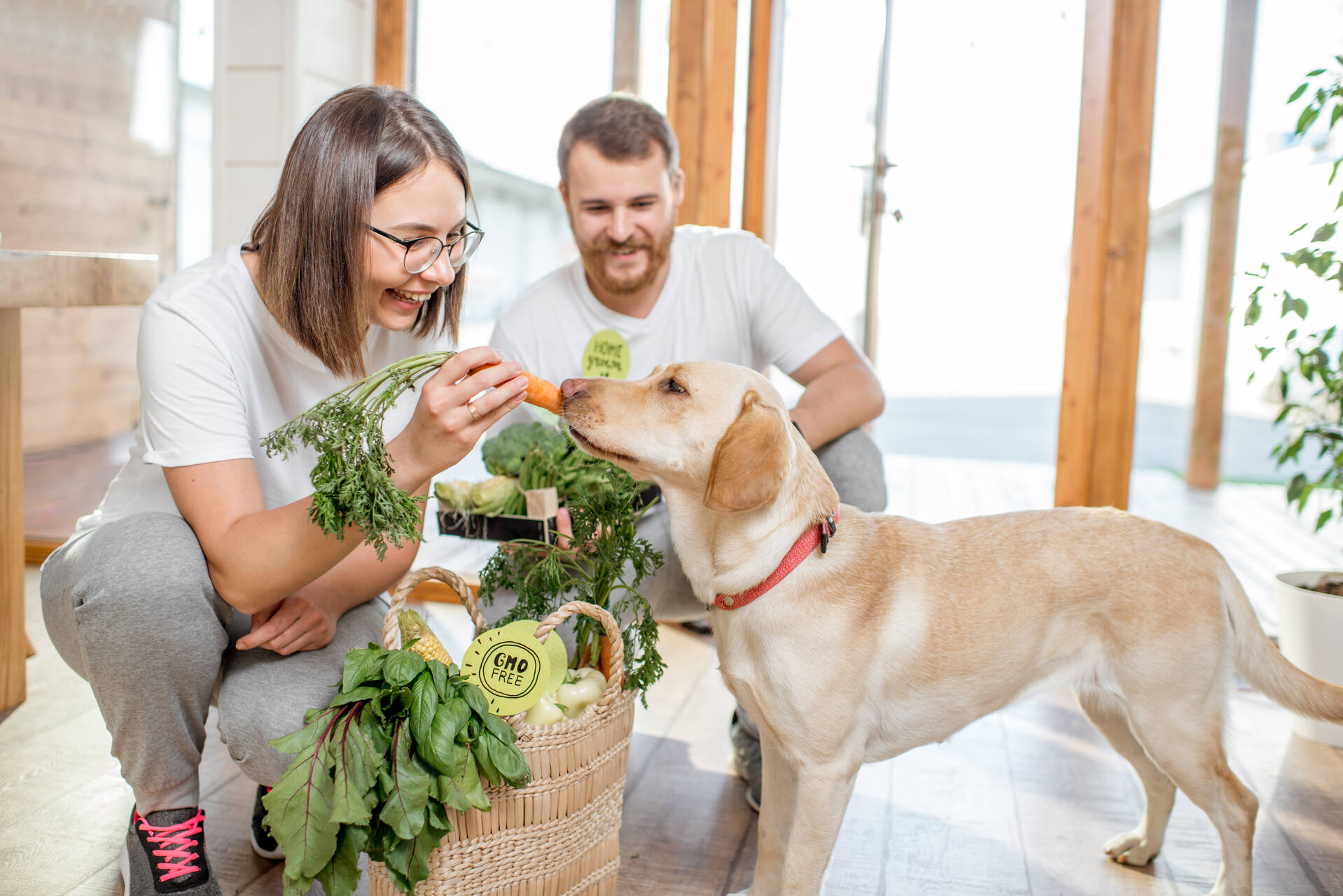 A couple feeding a dog a carrot out of a bag of groceries