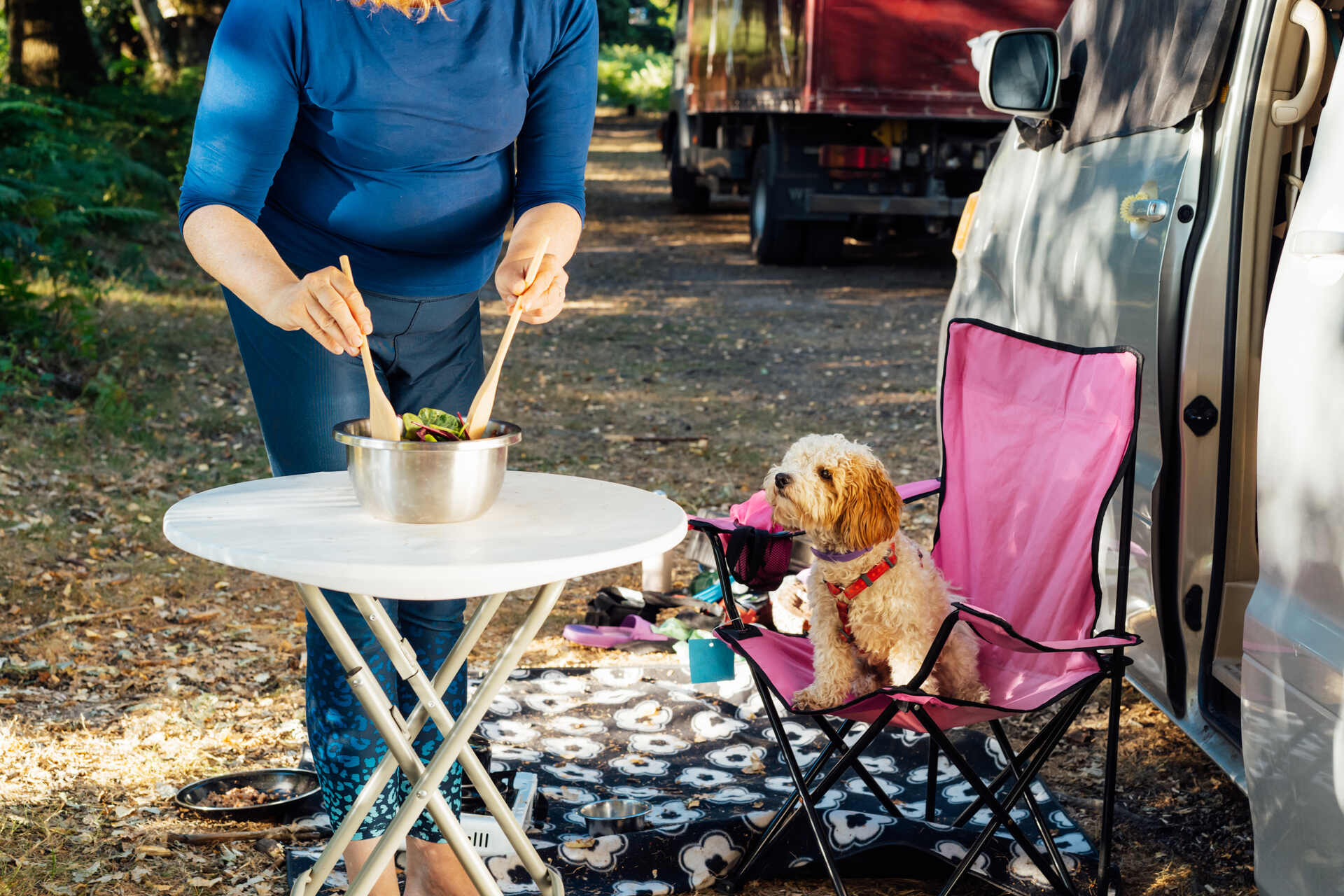 A dog sitting on a camping chair as a woman prepares a meal