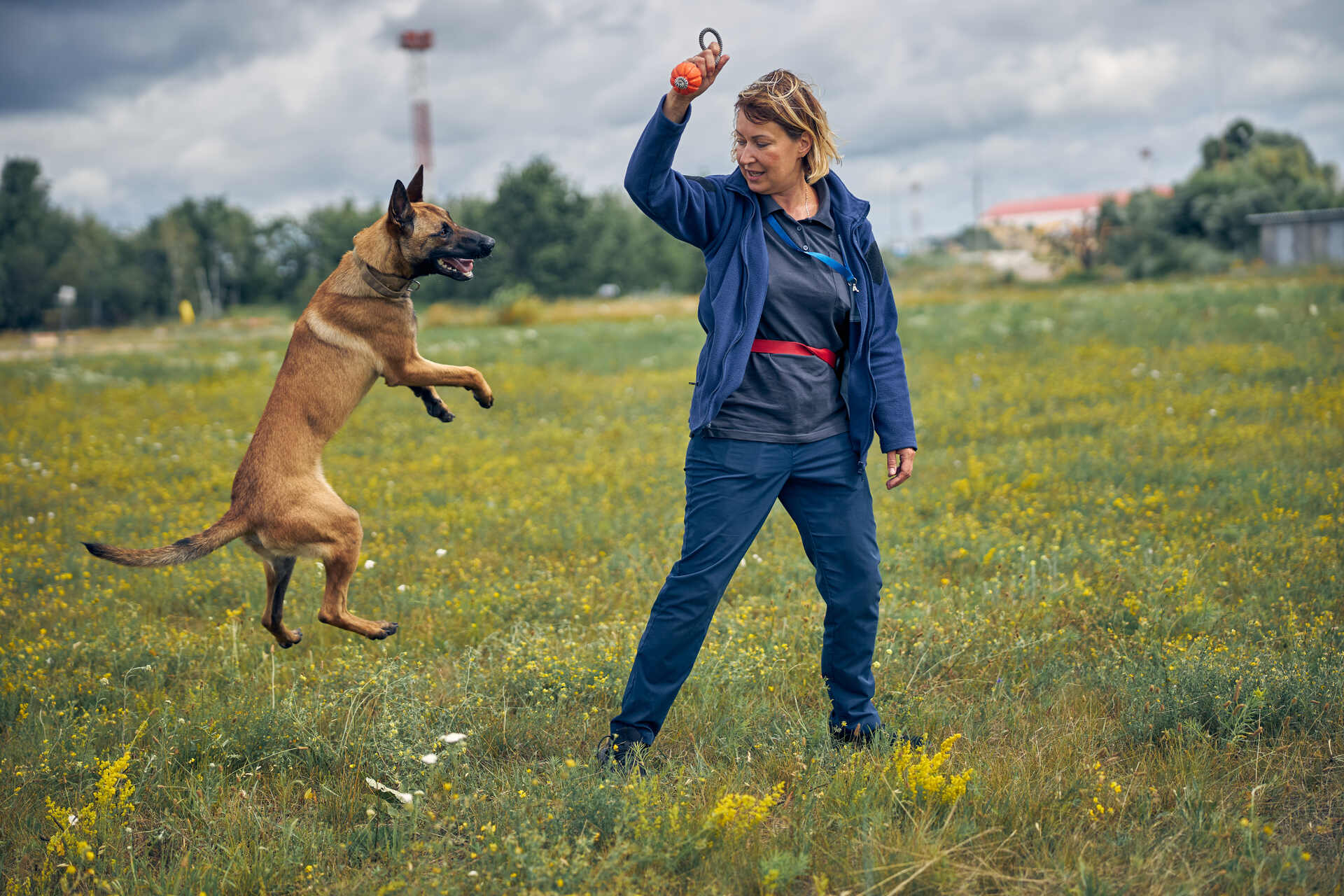 A woman training a dog in a field