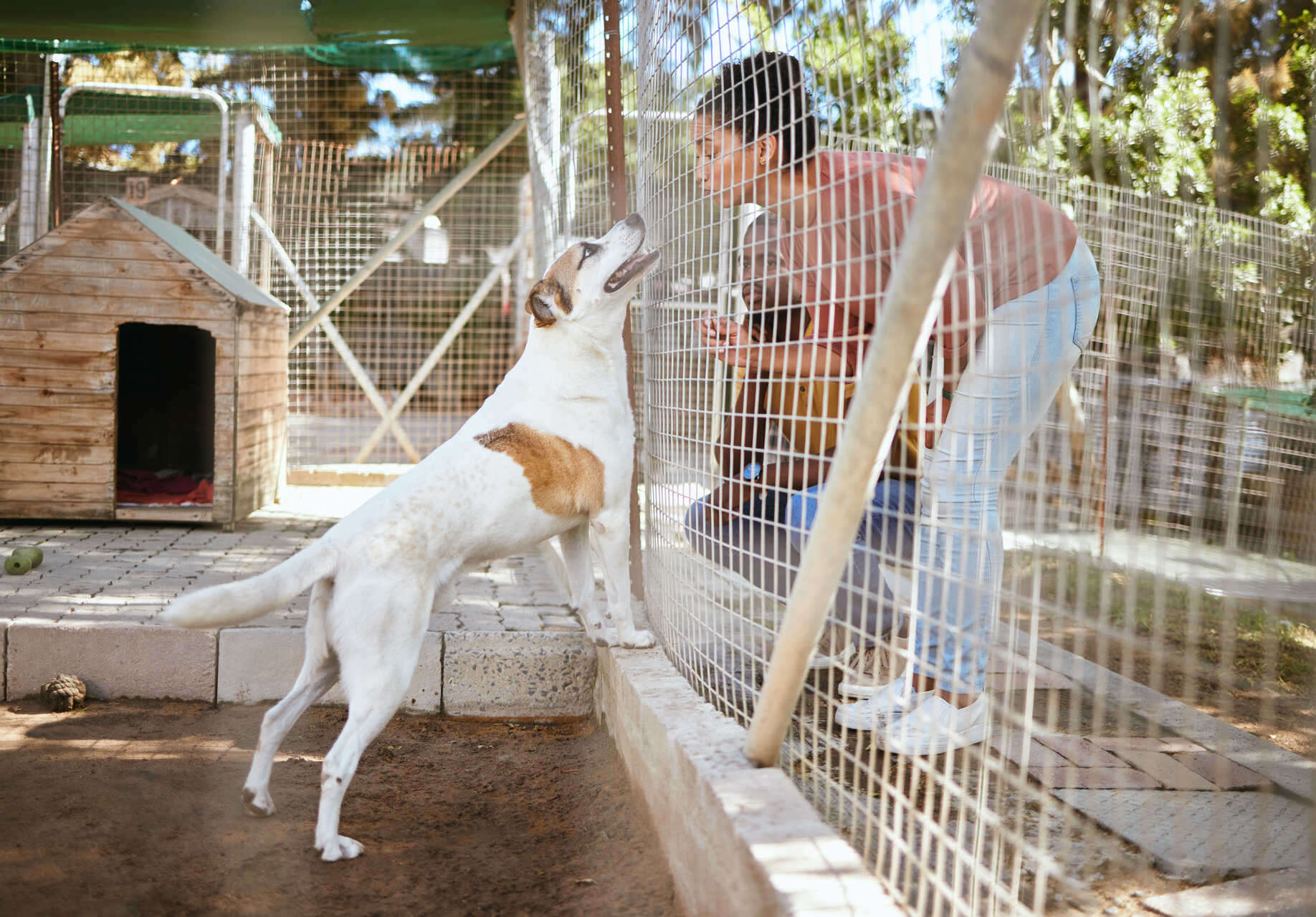 A woman interacting with a shelter dog