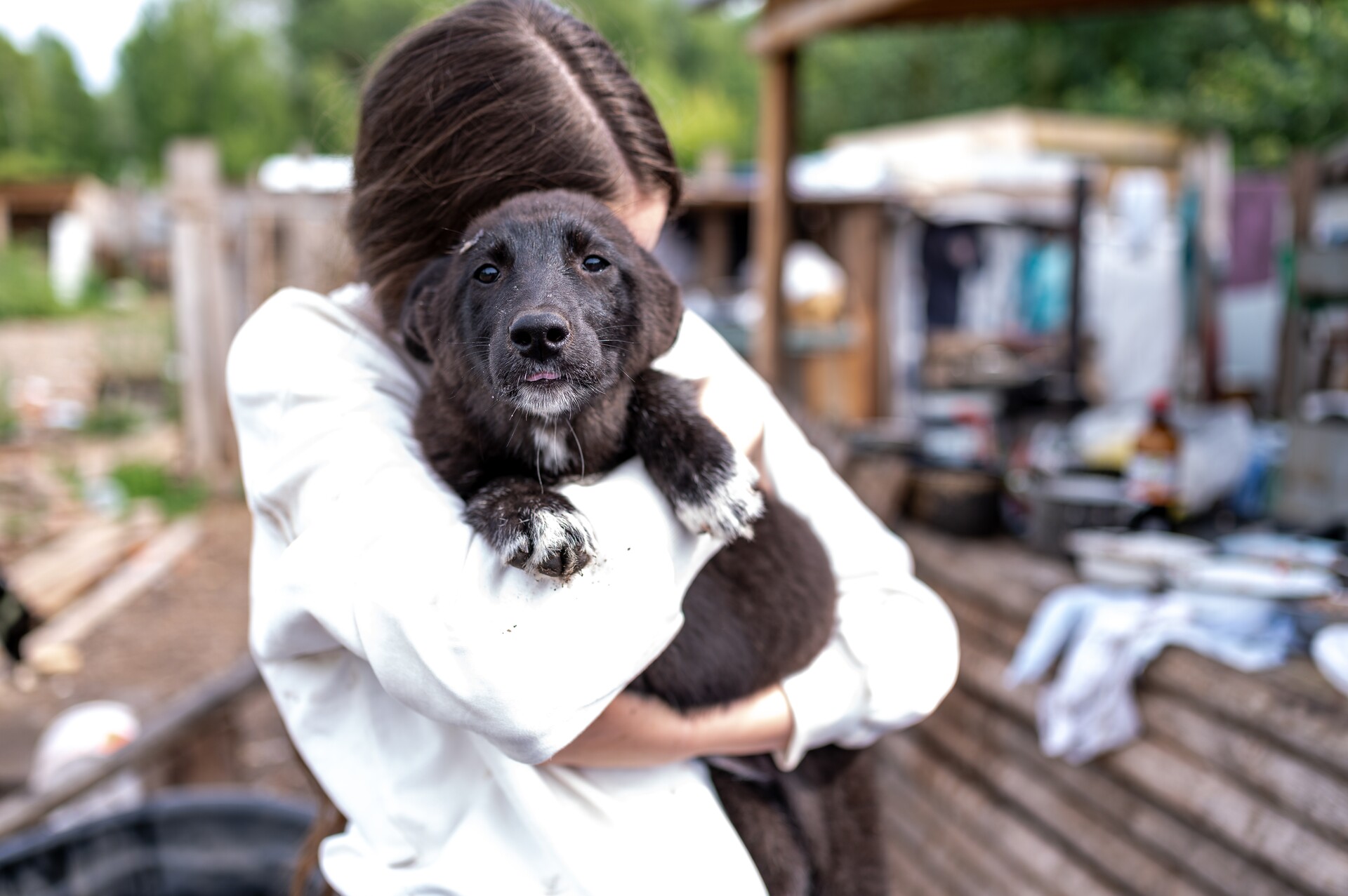 A girl hugging a shelter dog