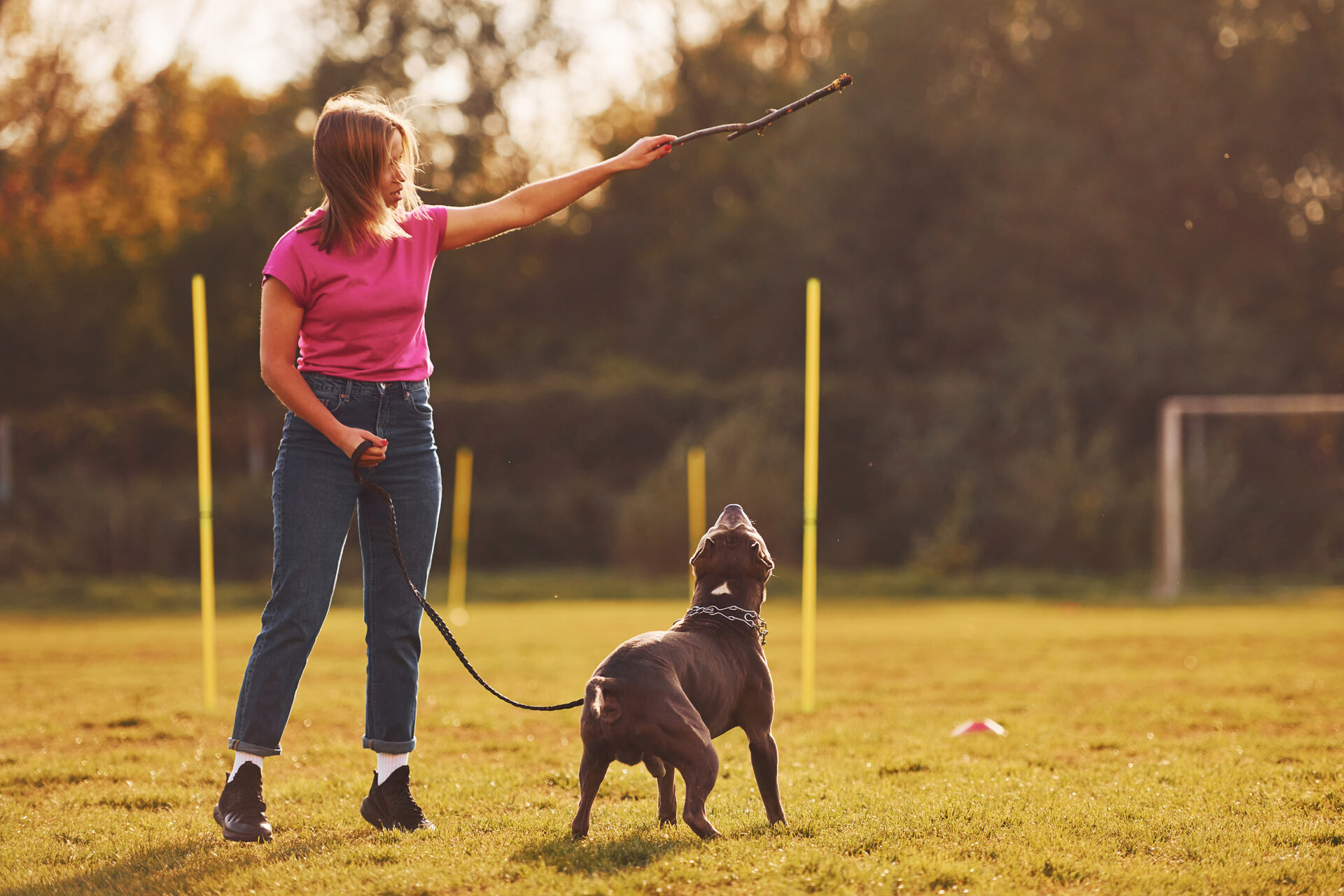 A woman training her dog to fetch a stick