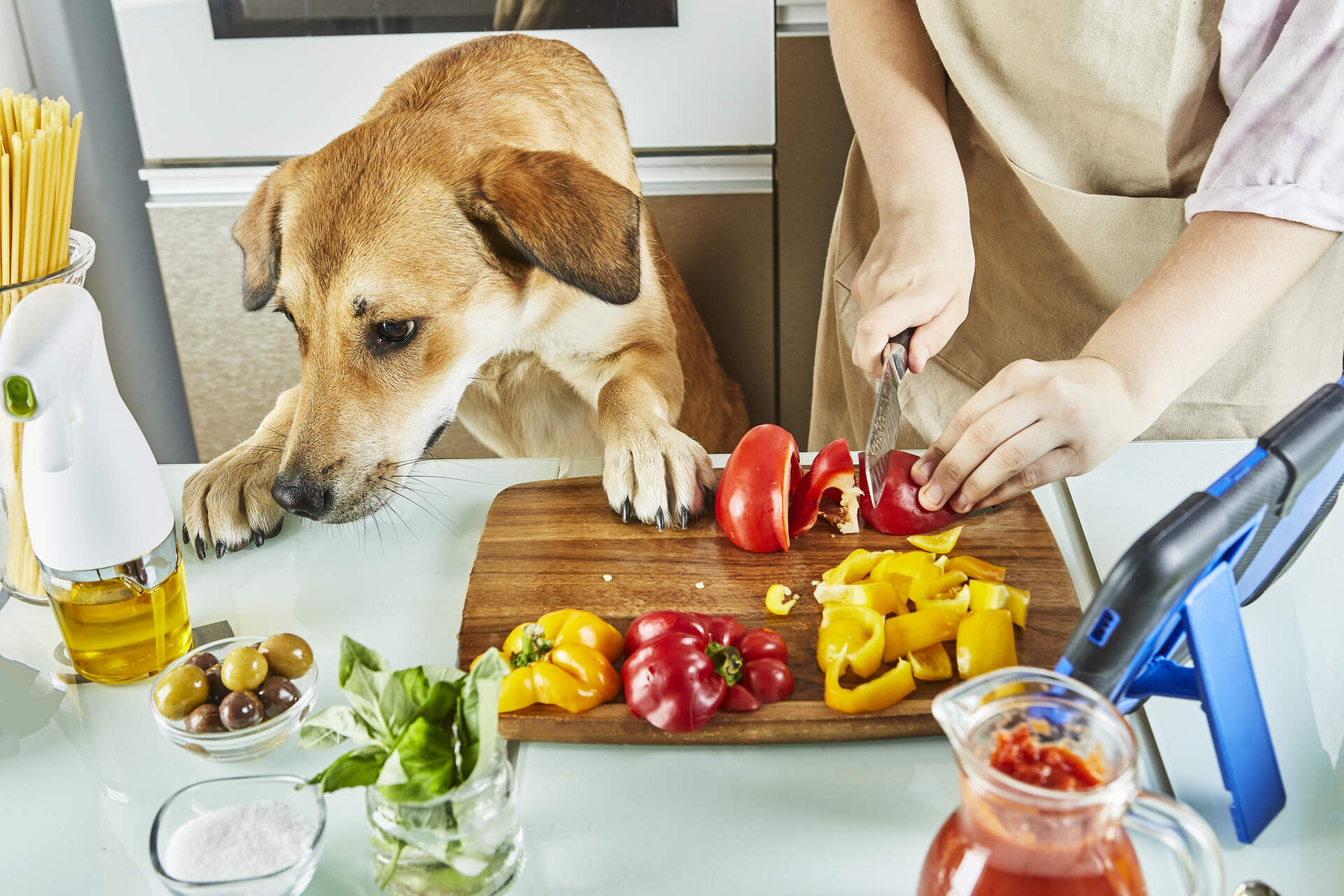 A dog sniffing vegetables on a cutting board