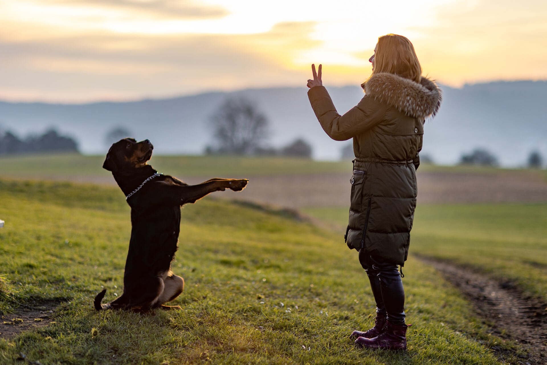 A woman training a dog outdoors