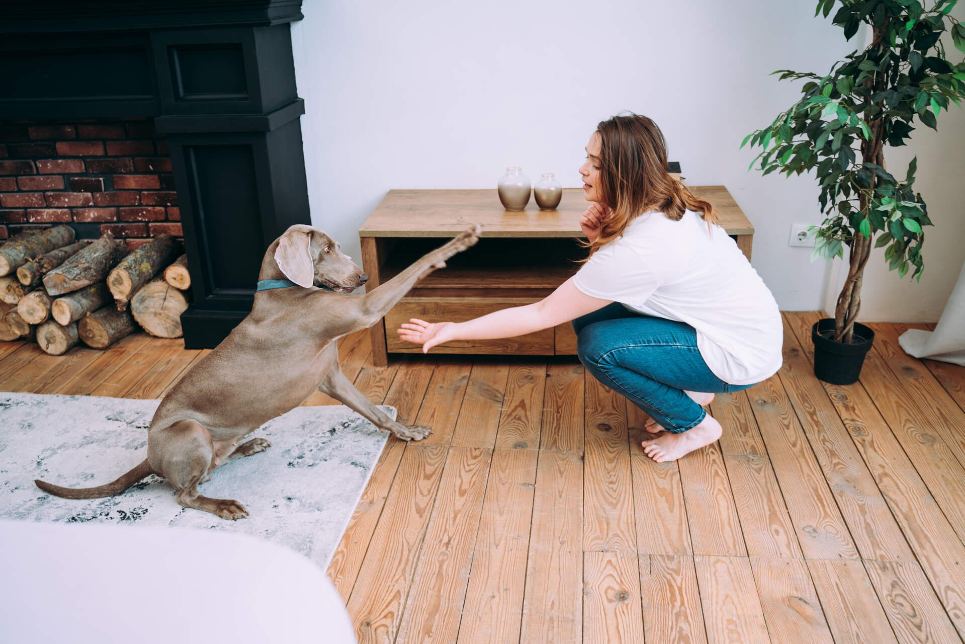 A woman training her newly adopted dog indoors