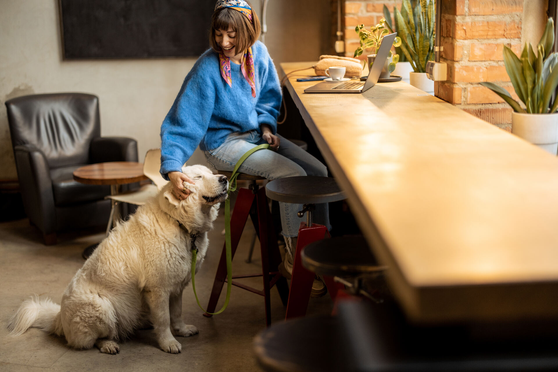 A woman petting a leashed dog at a cafe
