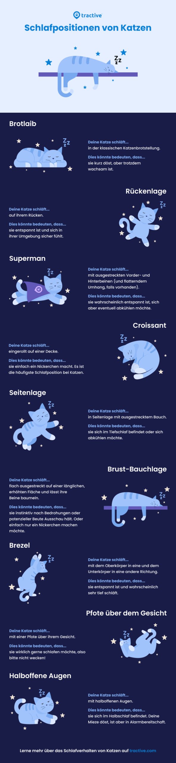 Infographik: Schlafpositionen von Katzen