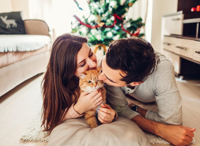 A couple welcoming their newly adopted cat home