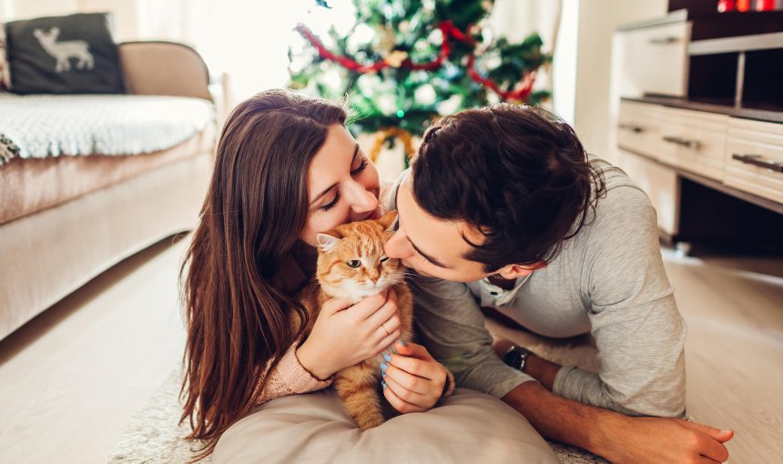 A couple welcoming their newly adopted cat home