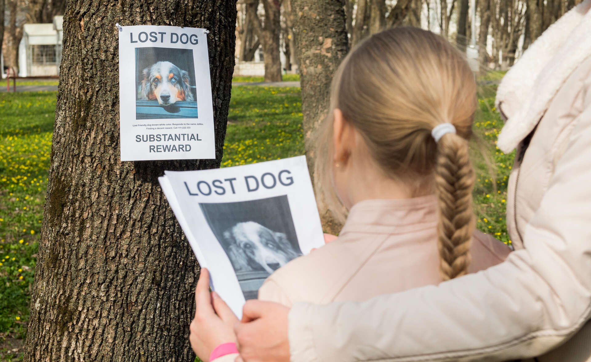 A family distributing "Lost dog" posters in a neighborhood
