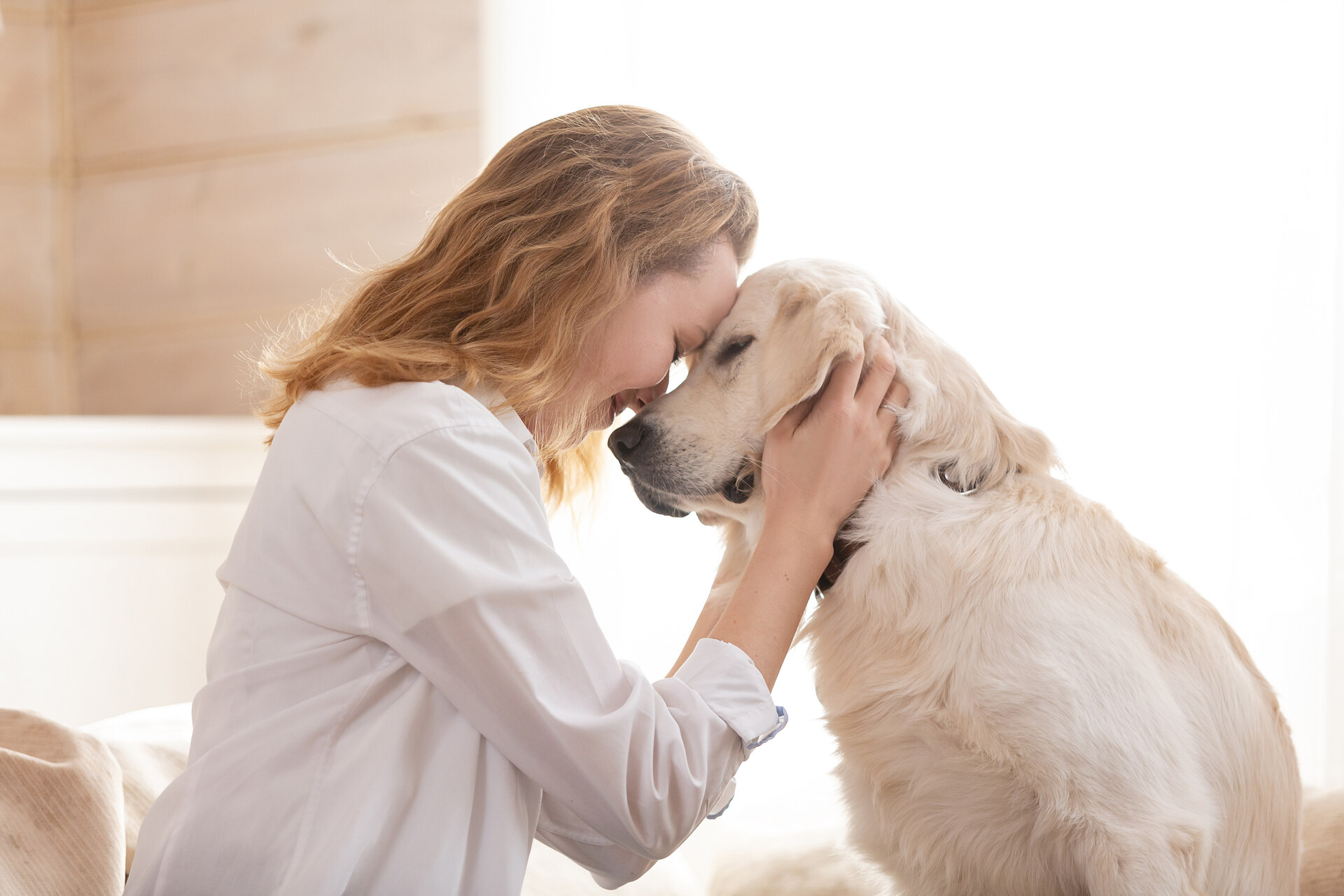 A woman hugging a blind senior dog