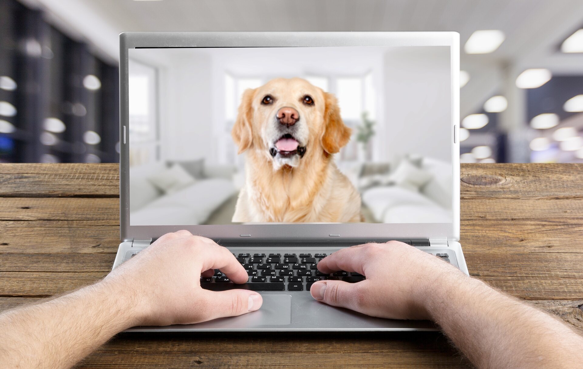 A man checking up on his dog via webcam