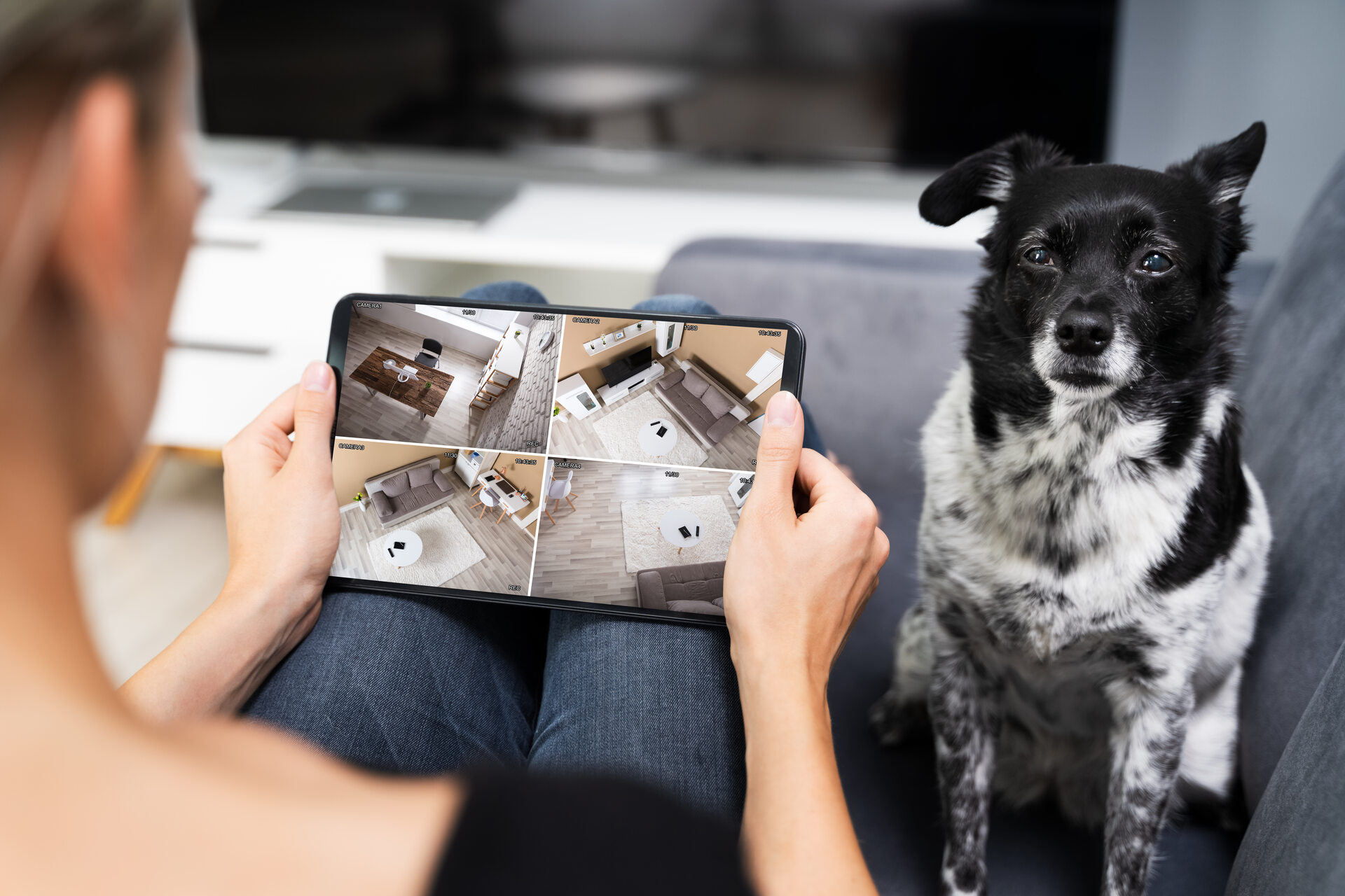 A woman setting up an indoor monitoring device for her dog