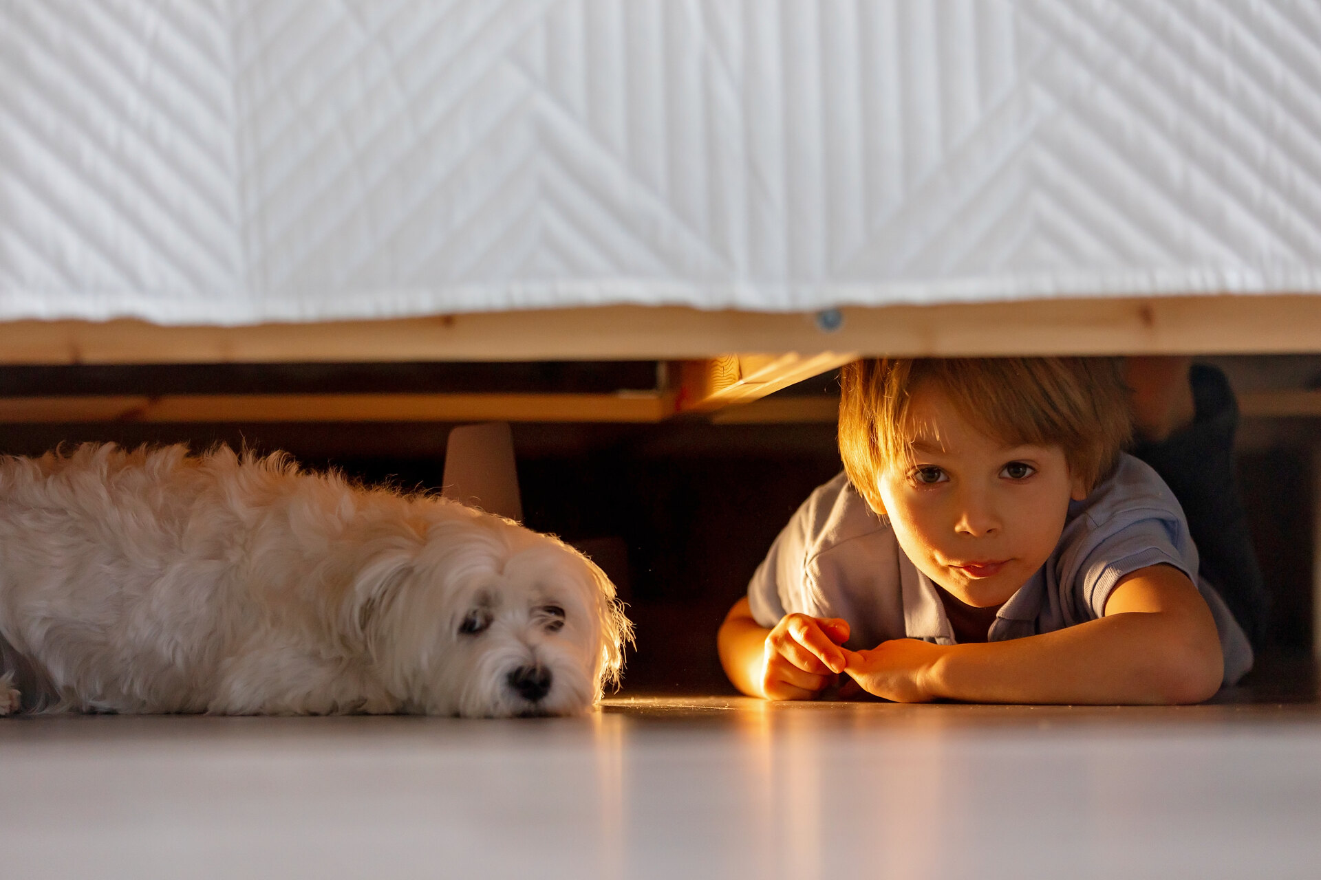 A child hiding under a bed with a dog