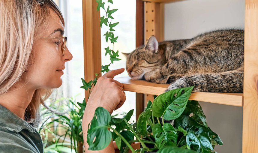 A woman playing with a cat lying on a platform surrounded by plants