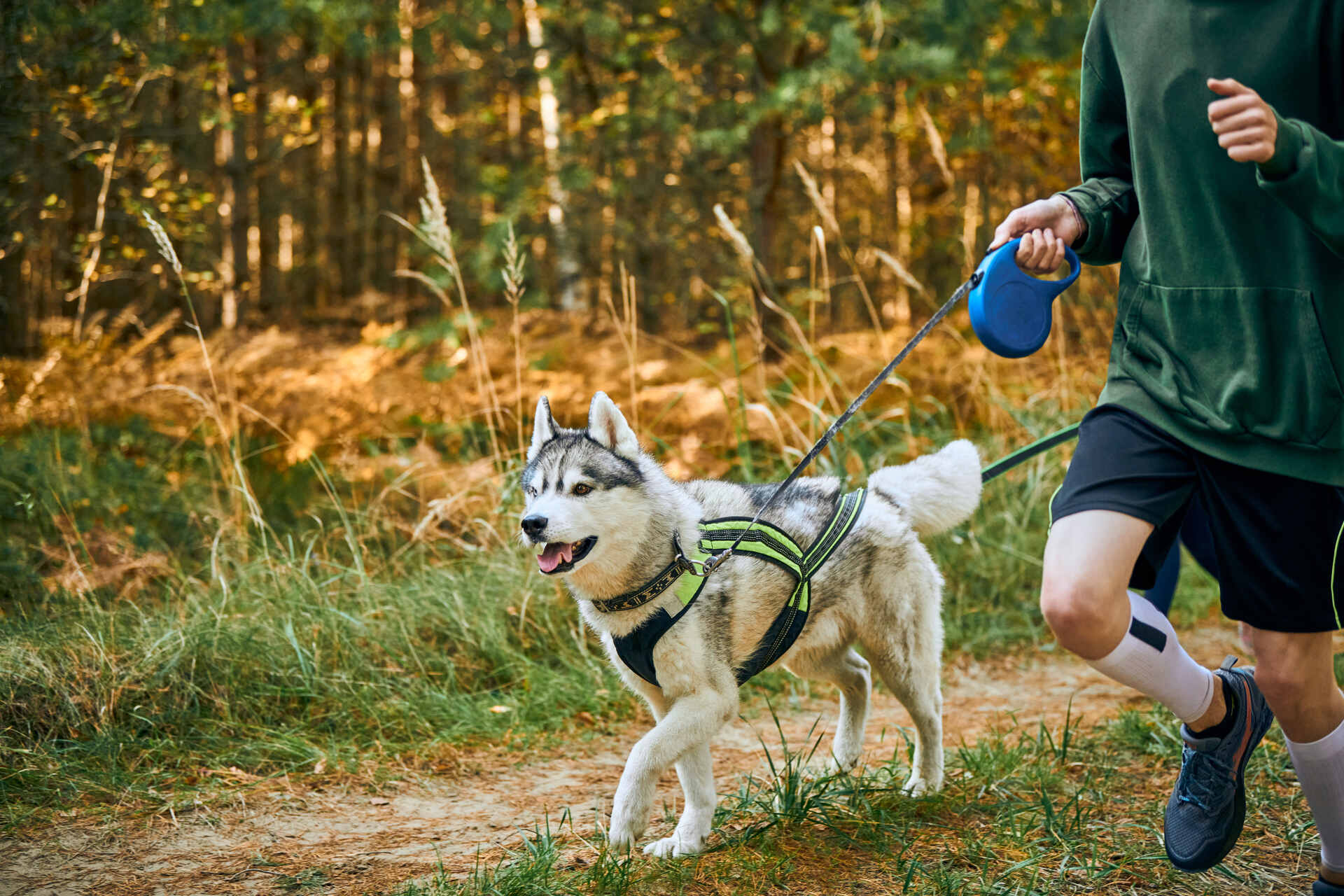 A man jogging through the woods with a dog on a harness