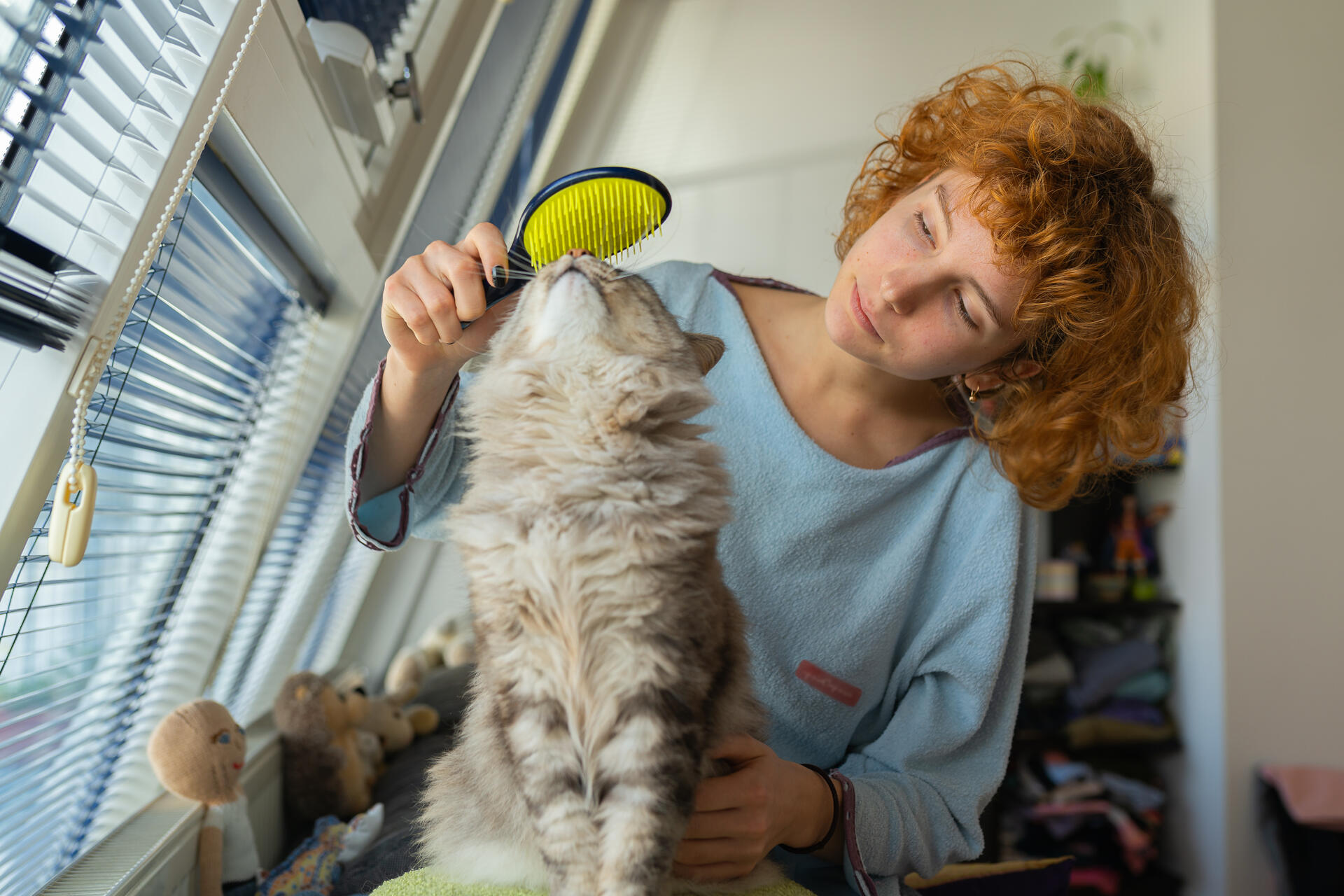 A woman brushing her cat's fur